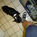 Rex Sweat Photo 8