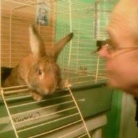 Jerry Bailey Photo 9
