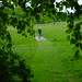 Mark Dawes Photo 20