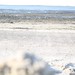 Karin Watt Photo 12