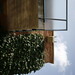 Mary Cowan Photo 17