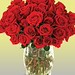 Rose Long Photo 16