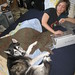 Margaret Sharp Photo 24