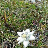 Irene Lind Photo 31