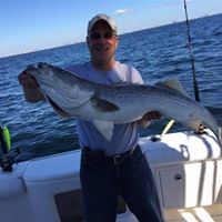 Michael Lombardi Photo 25