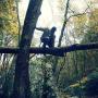 Andrew Clement Photo 14