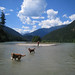 Lisa Baxter Photo 3