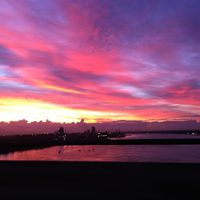 Amy Galland Photo 11