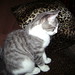 Ricky Weeks Photo 22