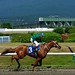 Chad Hastings Photo 5