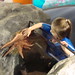 Elizabeth Shedd Photo 12