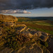 Heather Edge Photo 23