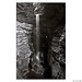 Glen Cox Photo 30