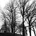 Laurel Hill Photo 33