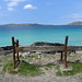 Harris May Photo 8