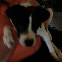 Charlotte Gribble Photo 7
