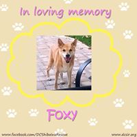 Lori Chapin Photo 6