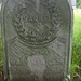 Mary Mcmillan Photo 29