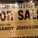 Sandy Johnson Photo 31