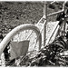 Christopher Dickinson Photo 26