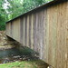 Diane Cromer Photo 14