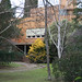 Roland Chestnut Photo 9