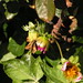 Michelle Rutherford Photo 14