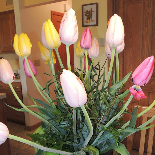 Diane Hanson Photo 7