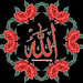 Alim Rashid Photo 4