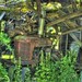 Daryl Moss Photo 7