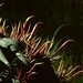 Kris Sharp Photo 11