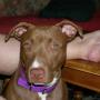 Donna Calvert Photo 21