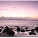 Joseph Musgrave Photo 14