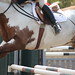 Sonya Hunt Photo 31