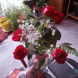 Shirley Bickham Photo 8