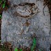 Sarah Potter Photo 40