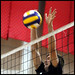 Barbara Gilbert Photo 15