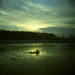 Dawn Wood Photo 29