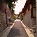 Sam Chong Photo 6
