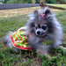 Susan Spitz Photo 16