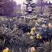 Helen Roth Photo 20
