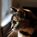 Tabitha Long Photo 29
