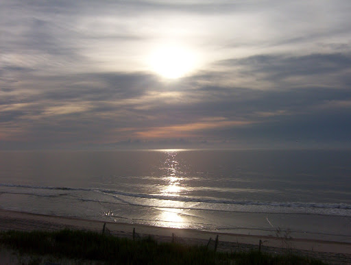 Shelley Robbins Photo 9