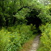 Martha Meadows Photo 16