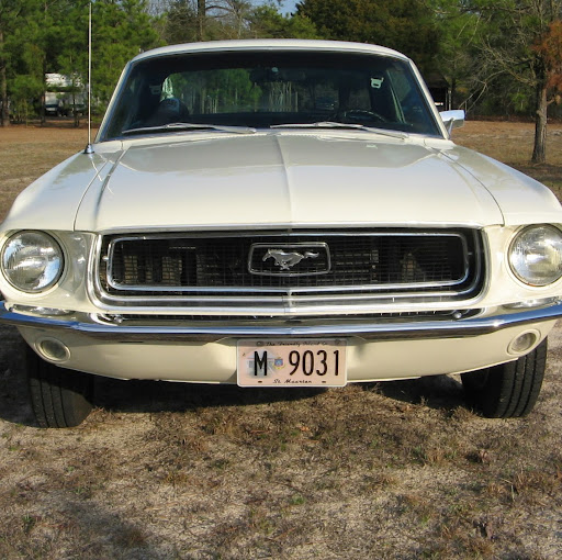 Tommy Cole Photo 12
