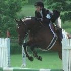Laura Mcphee Photo 7