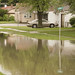 Carol Flood Photo 21