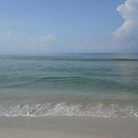 Patricia Wilburn Photo 11