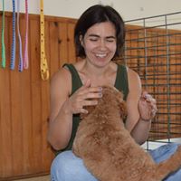 Amy Beck Photo 26