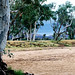 Todd Spring Photo 12